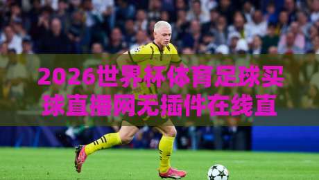 2026世界杯体育足球买球直播网无插件在线直播网:免费看球新选择,球迷必收攻略