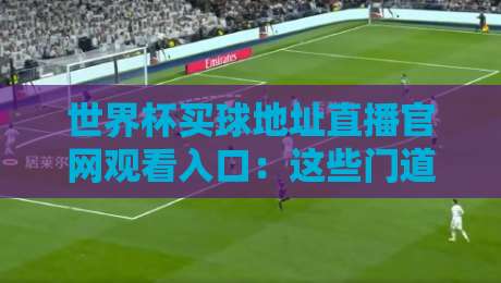 世界杯买球地址直播官网观看入口:这些门道你知道吗?